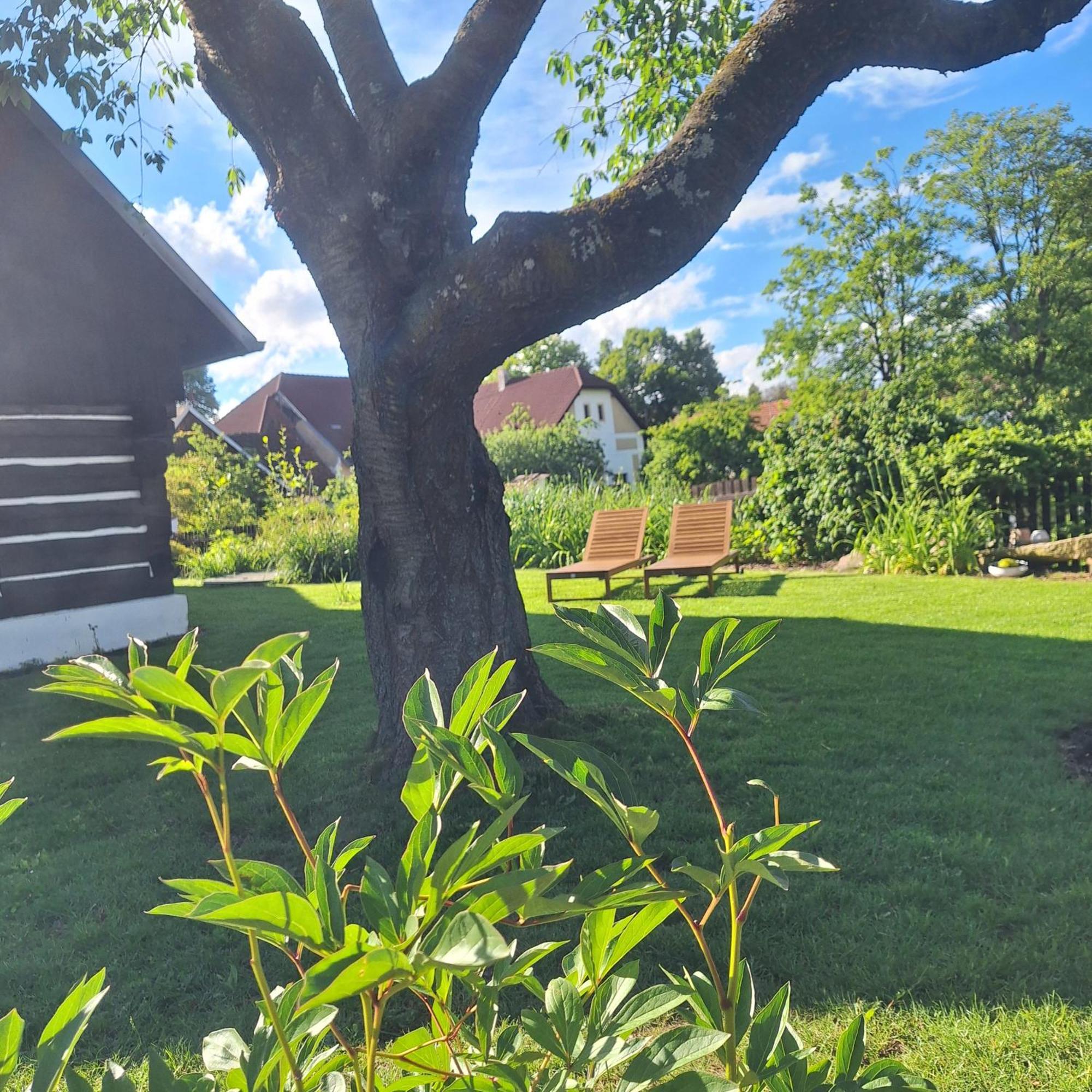 Líšnice Сasa de vacaciones